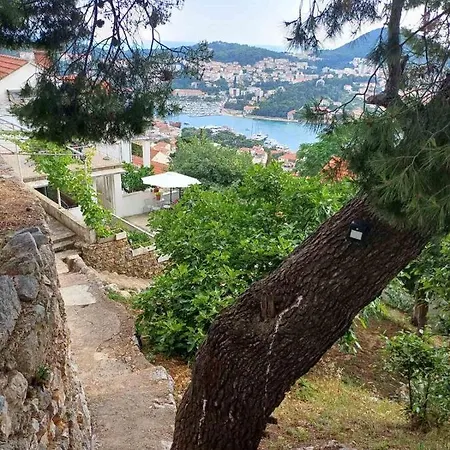 Apartment Sea View From The Hill *